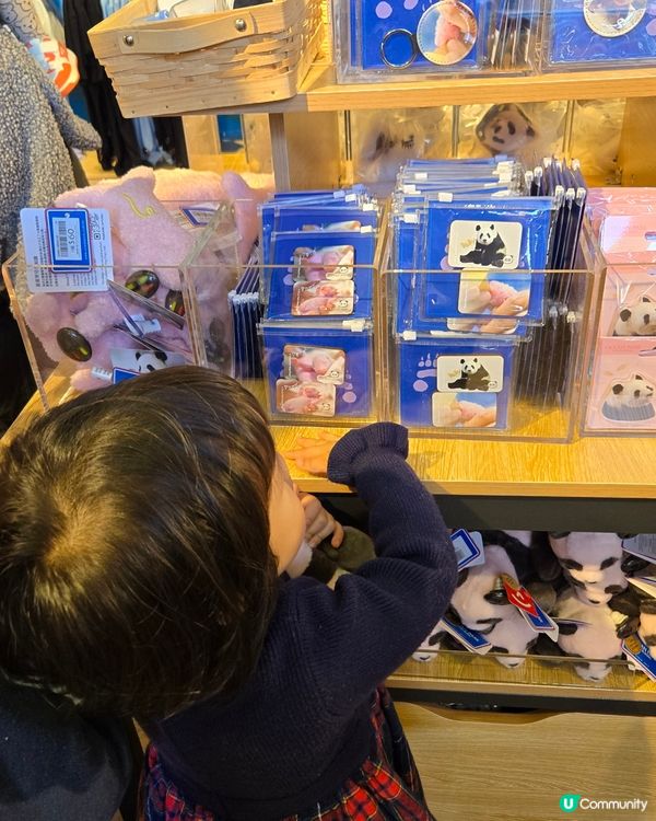 熊貓熊貓我來了‼️