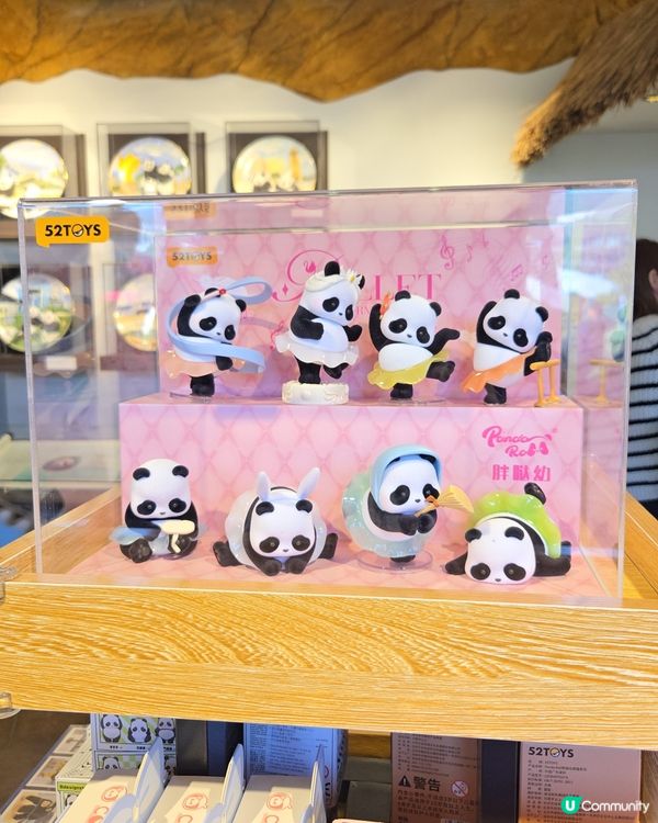 熊貓熊貓我來了‼️