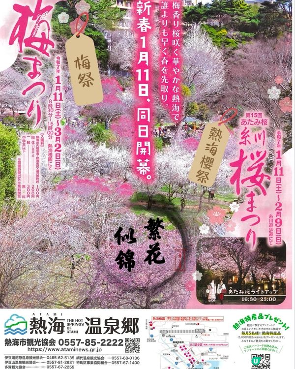 📣賞花啦🌸熱海有梅花祭同櫻花祭呀！
