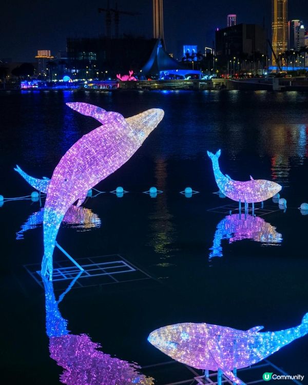 燈光炫麗配素食饗宴：幻彩耀濠江 x 素食嘉年華～