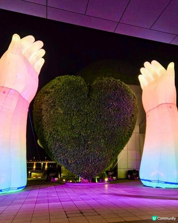 燈光炫麗配素食饗宴：幻彩耀濠江 x 素食嘉年華～