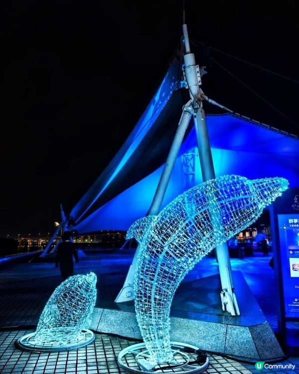 燈光炫麗配素食饗宴：幻彩耀濠江 x 素食嘉年華～