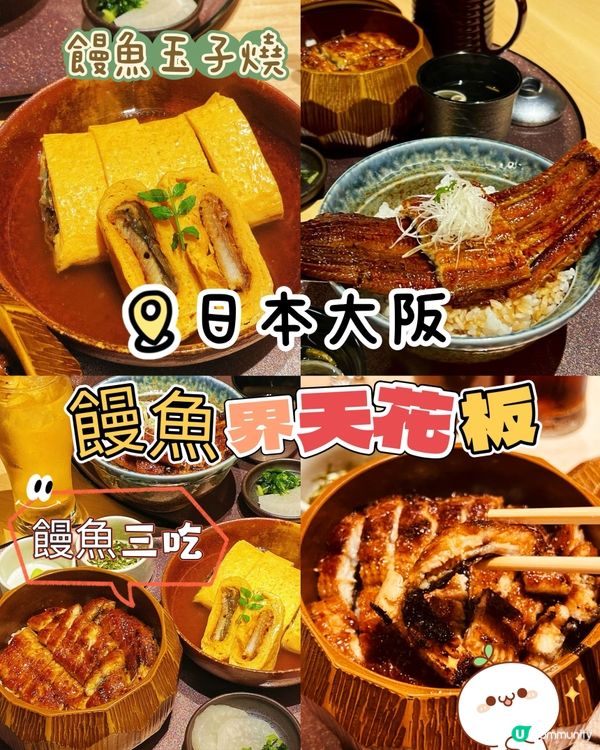 大阪必食鰻魚飯•鰻魚界天花板你試過未？🤩