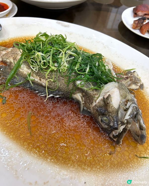 【 冬至相聚慶團圓｡陶源酒家 】 