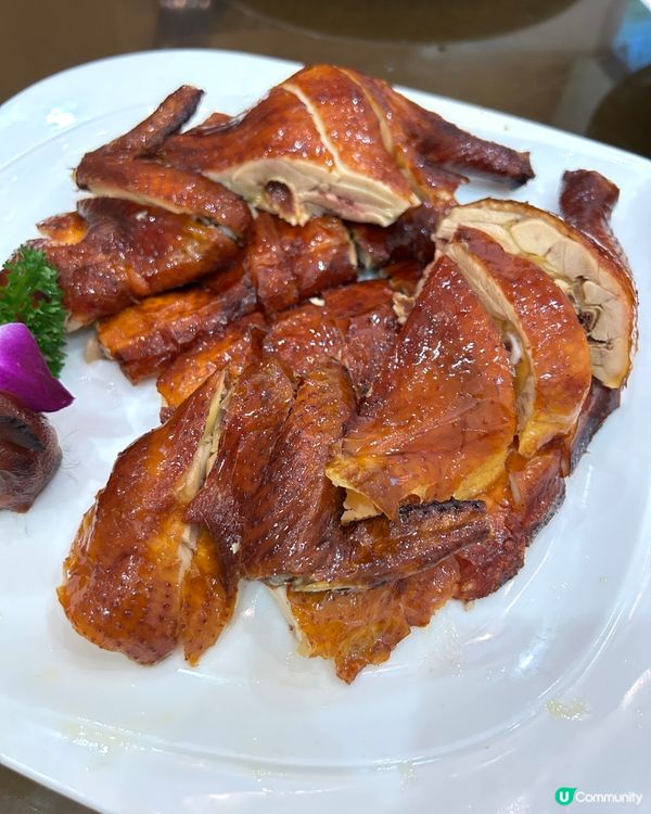 【 冬至相聚慶團圓｡陶源酒家 】 