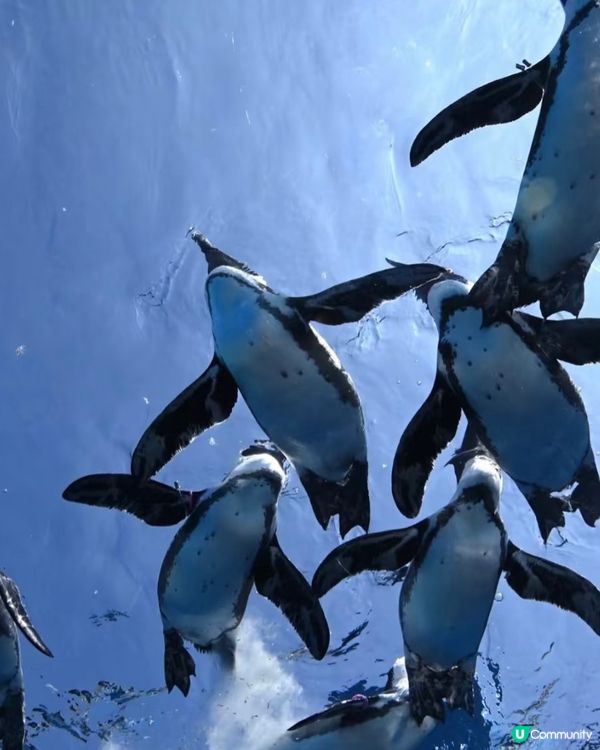 池袋Sunshine city太好玩😍超詳盡攻略