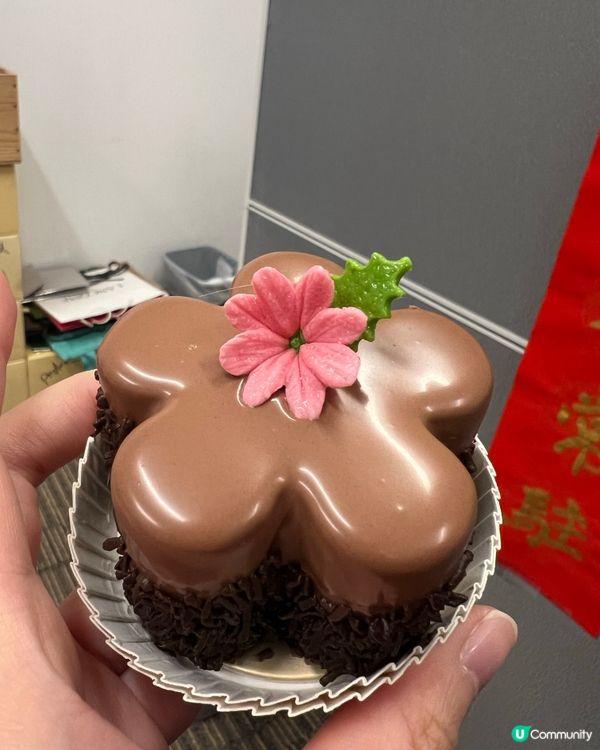 第一次食Zoe cake!!佢個金莎蛋糕好好味🤤