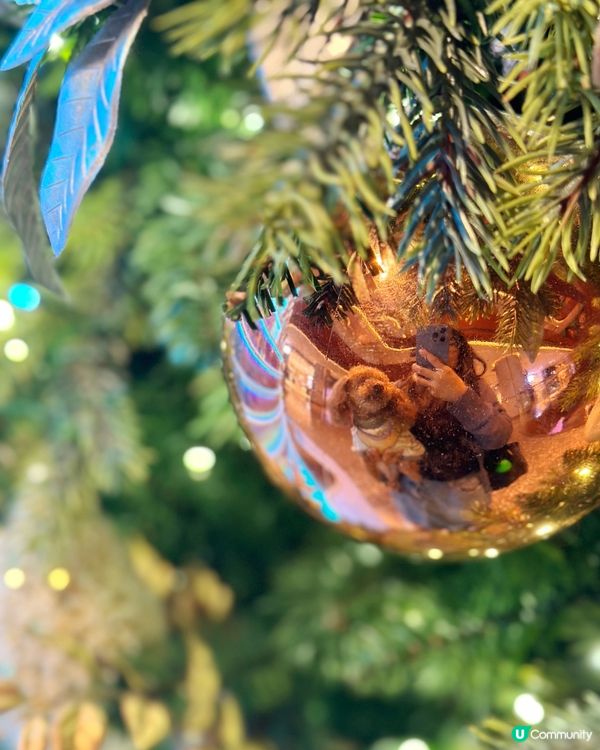 繼續帶你🐶周圍影 