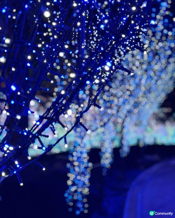 名古屋冬日值得去既名花次里燈光節