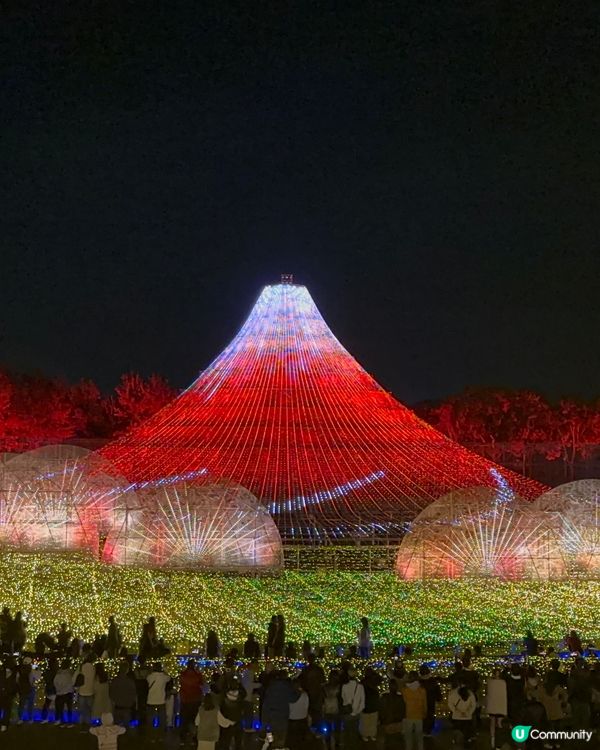 名古屋冬日值得去既名花次里燈光節