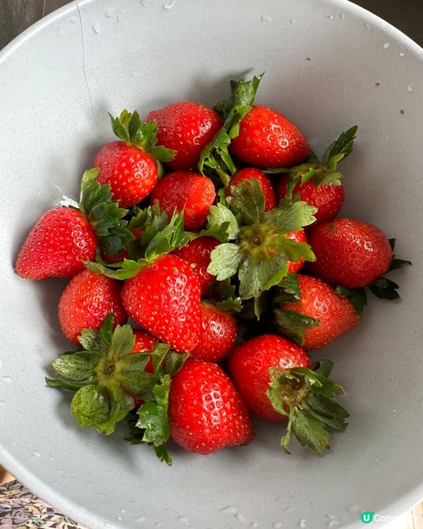  Fruit time🍓🫐🍐Duffy水果碗😍