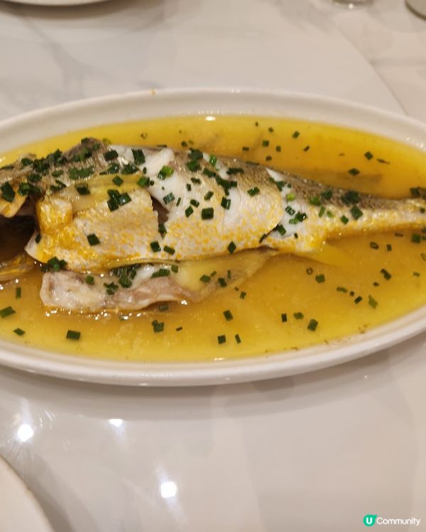 真正响上海嘅~上海姥姥(家常飯館)-