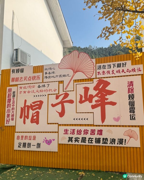 ✨✨銀杏黃啦✨✨