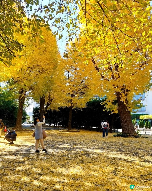 上野恩賜公園🍂 黃葉初體驗！