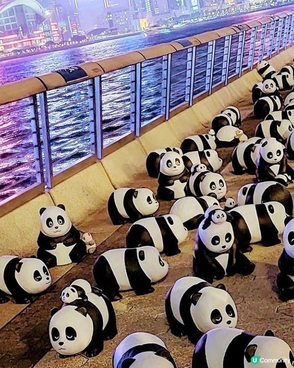 2500隻🤩可愛大熊貓雕像👍🏻