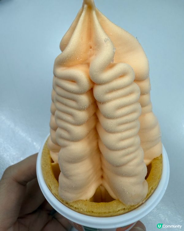 日本宮田蜜瓜味雪糕🍦
