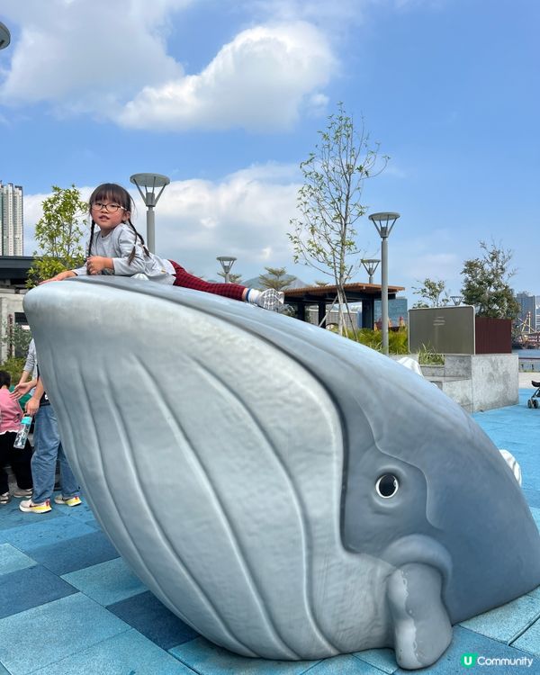 免費放電好去處 | 巨鯨海盜公園 | 九龍區