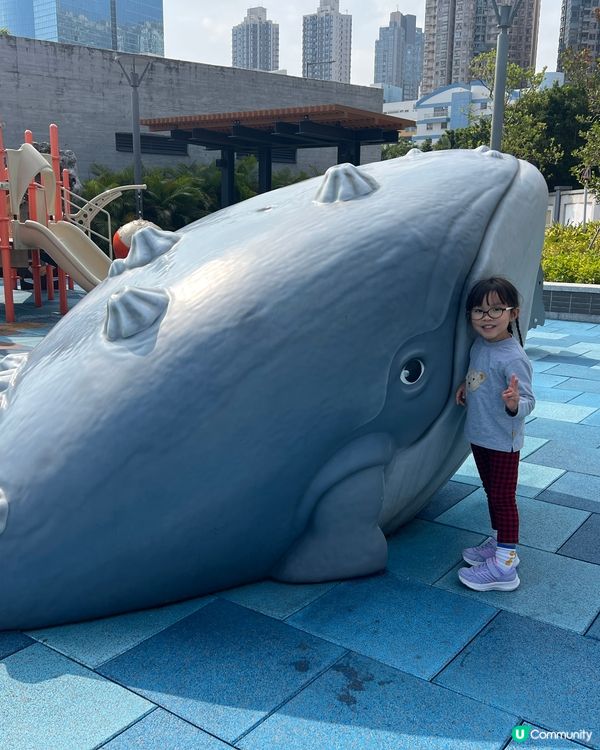 免費放電好去處 | 巨鯨海盜公園 | 九龍區