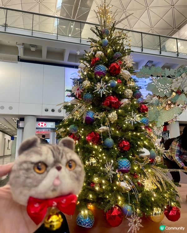 聖誕🎄🎅🏼機場打卡位📸