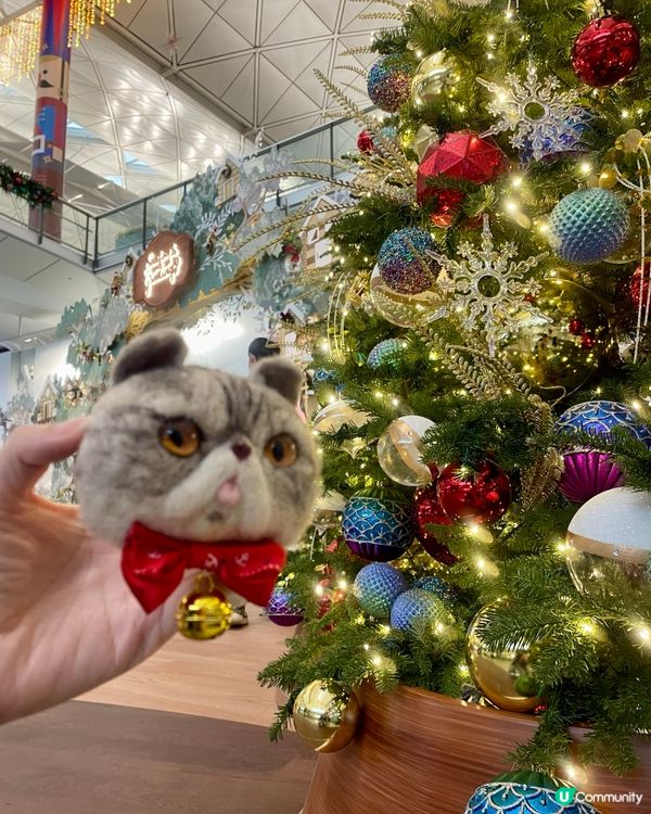 聖誕🎄🎅🏼機場打卡位📸