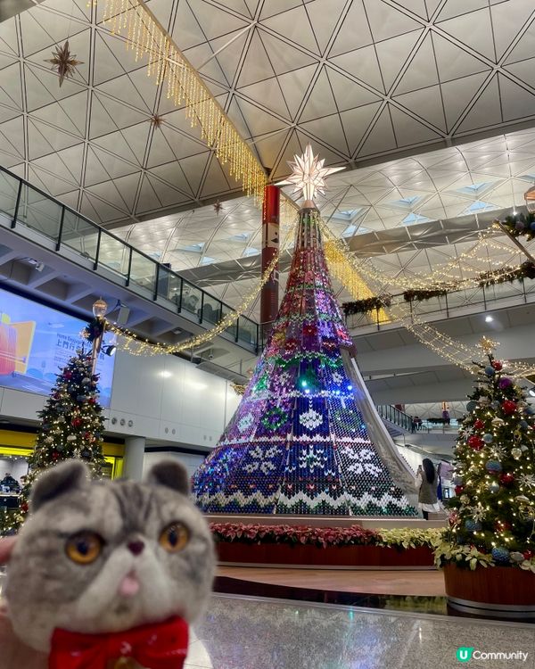 聖誕🎄🎅🏼機場打卡位📸