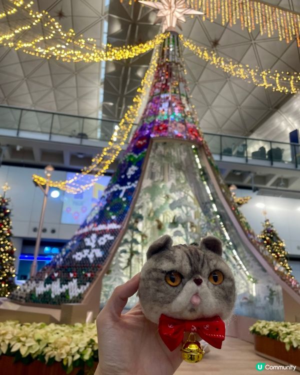 聖誕🎄🎅🏼機場打卡位📸