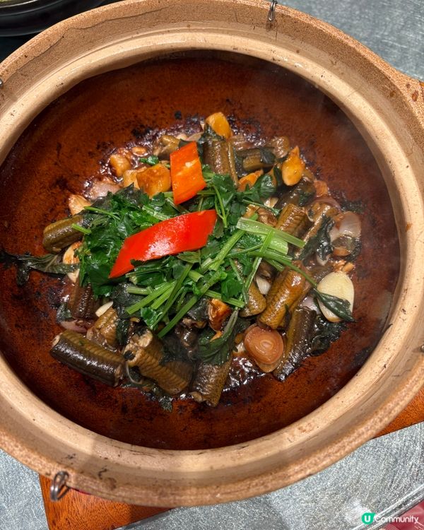 譚廚中山菜慶生🎂一家人食到停唔到口😋