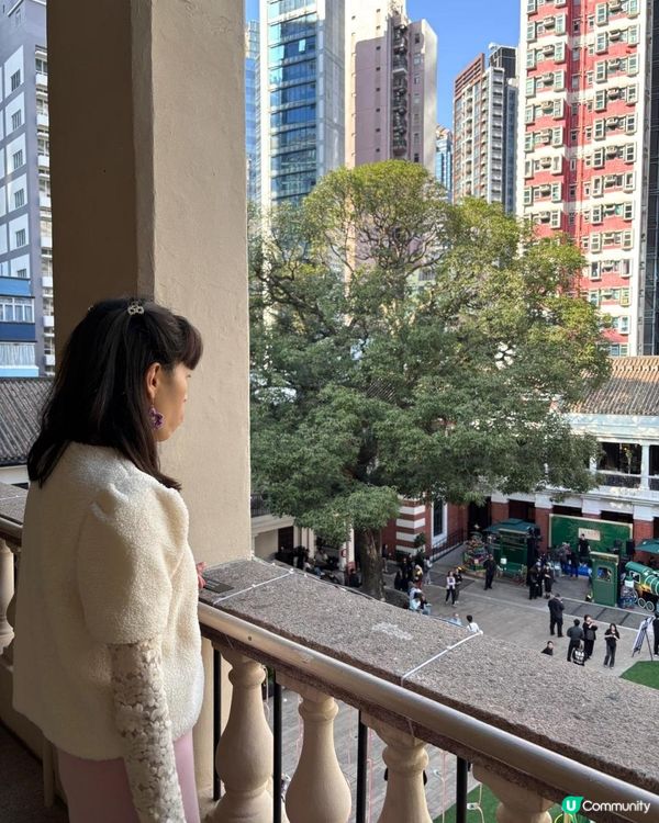 《12米高巨型聖誕樹@大館 🎄》