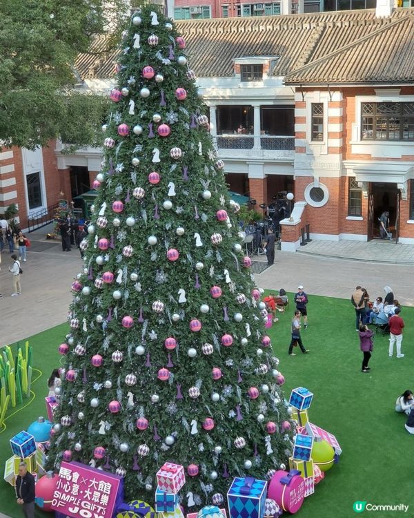 《12米高巨型聖誕樹@大館 🎄》