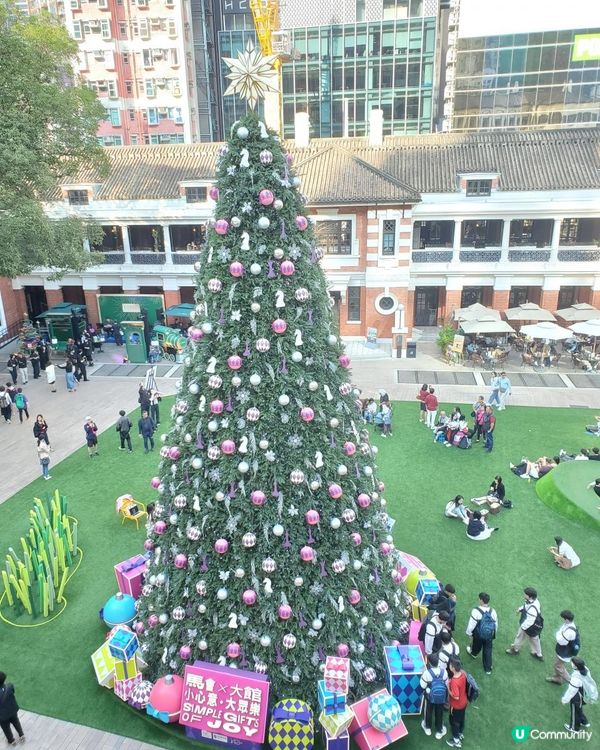 《12米高巨型聖誕樹@大館 🎄》