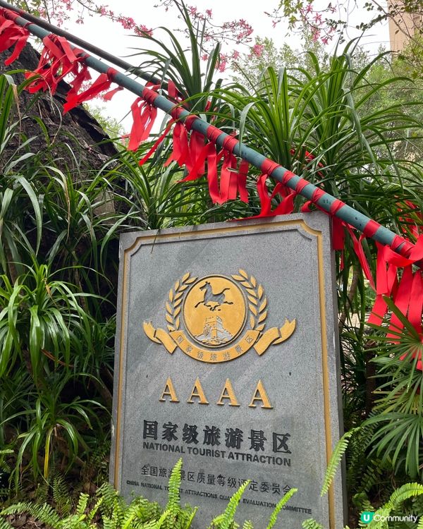 客天下·河源 #好去處#chill#chill賞遊世界#旅行...