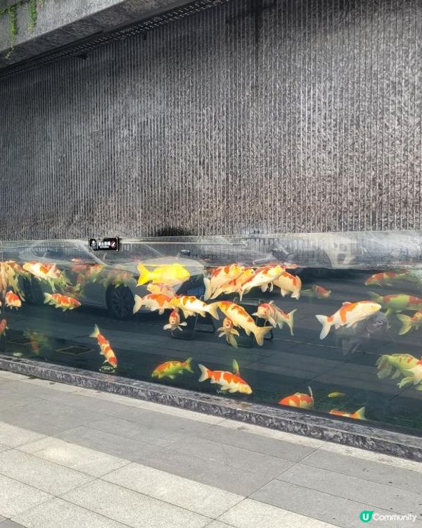 《環迴深圳》南山希爾頓逸林酒店及公寓 兩日一夜玩不完