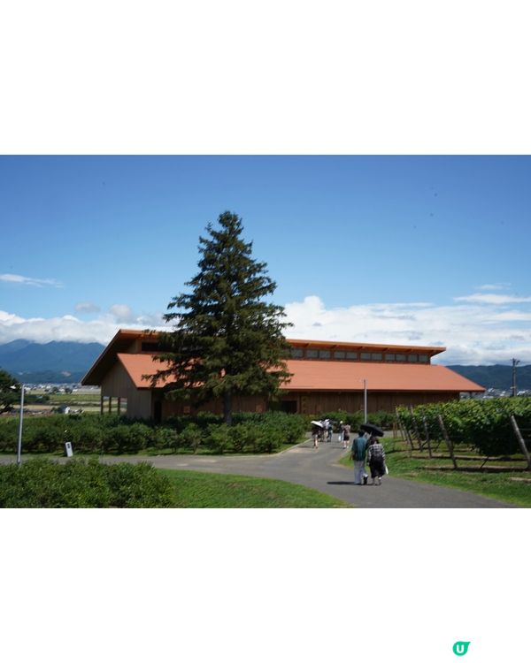 🇯🇵北海道富良野 Campana六花亭