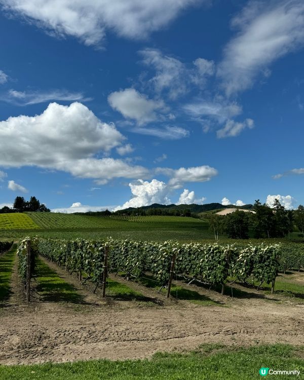 🇯🇵北海道富良野 Campana六花亭