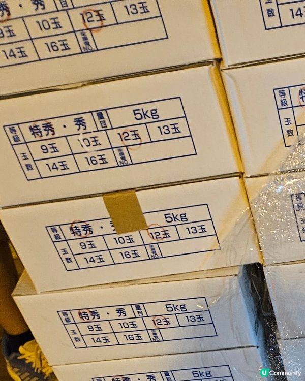 日本金啤梨特秀