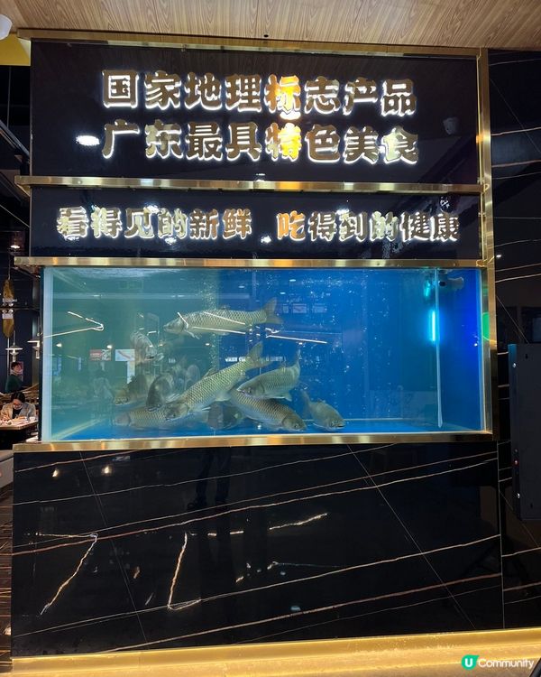 中山脆肉鯇，鮮甜爽脆😋