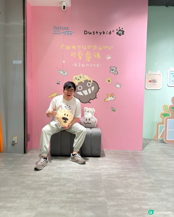 北角匯 Dustykid 塵與寵物的家