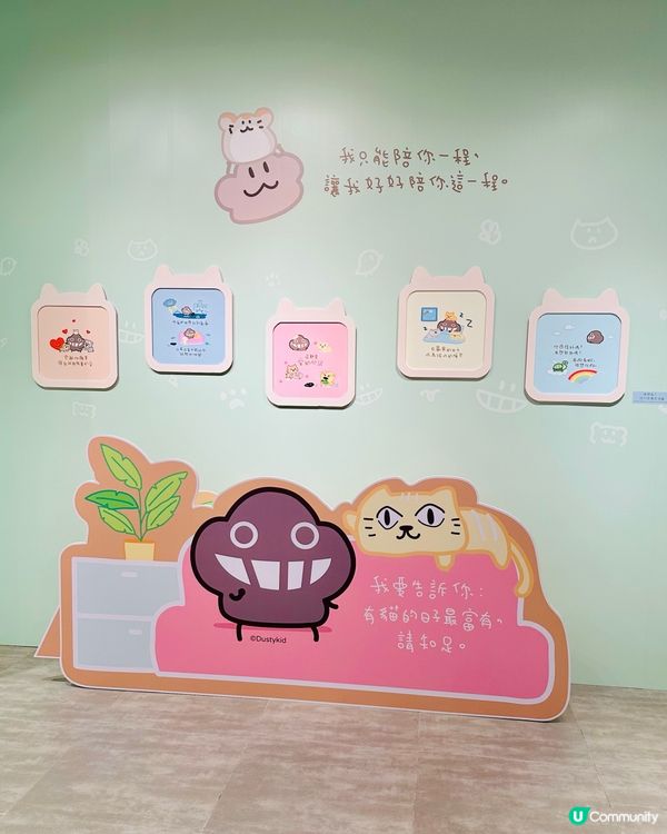 北角匯 Dustykid 塵與寵物的家