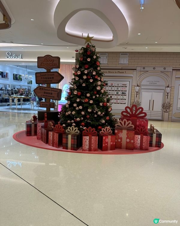 北角匯 Dustykid 塵與寵物的家