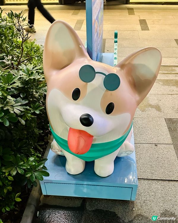 北角匯 Dustykid 塵與寵物的家