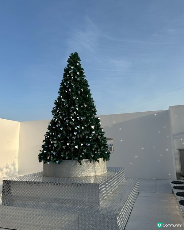 超美聖誕樹打卡位❤️🎄