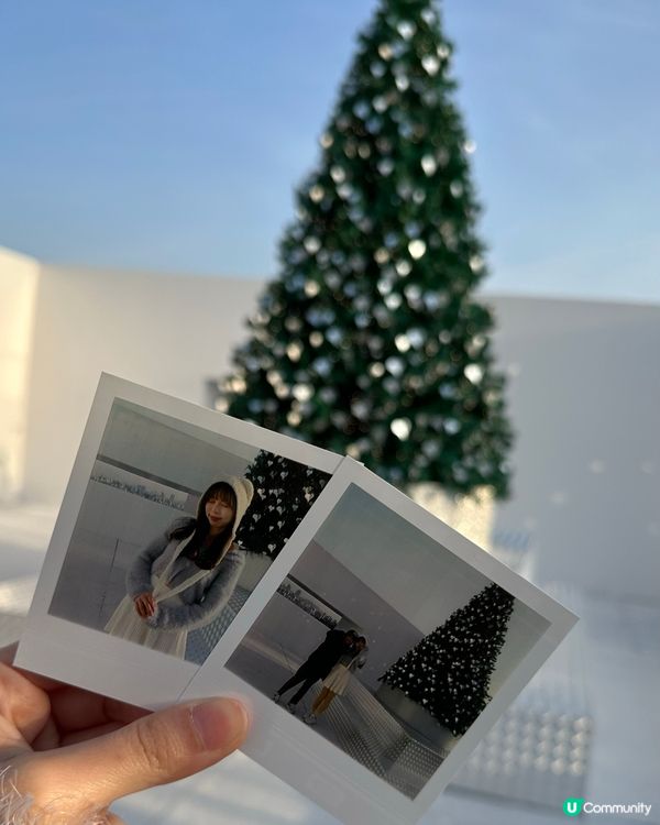 超美聖誕樹打卡位❤️🎄