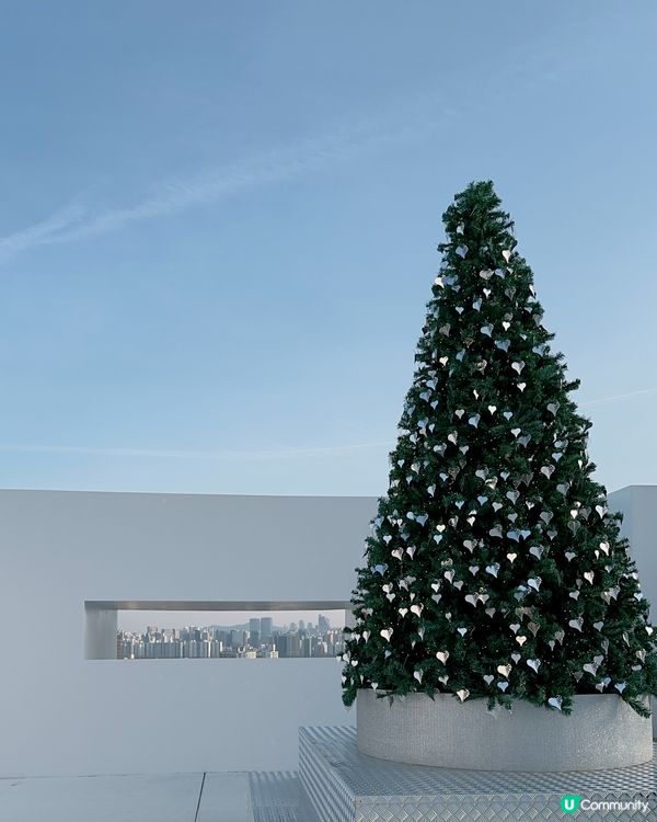 超美聖誕樹打卡位❤️🎄