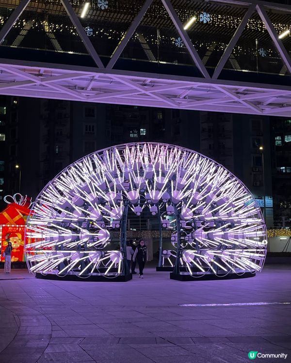 澳門✨幻彩耀濠江✨ 