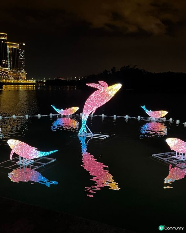 澳門✨幻彩耀濠江✨ 