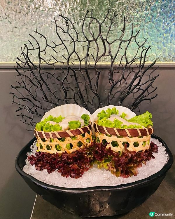 大圍➡️➡️➡️湊湊火鍋‧茶憩