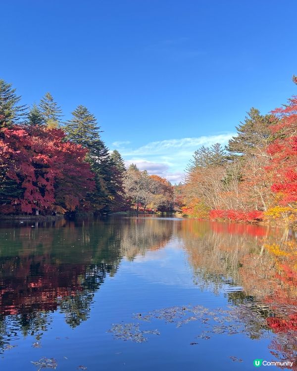 輕井澤賞楓之旅
