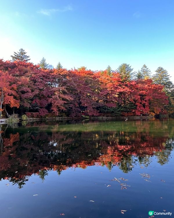 輕井澤賞楓之旅