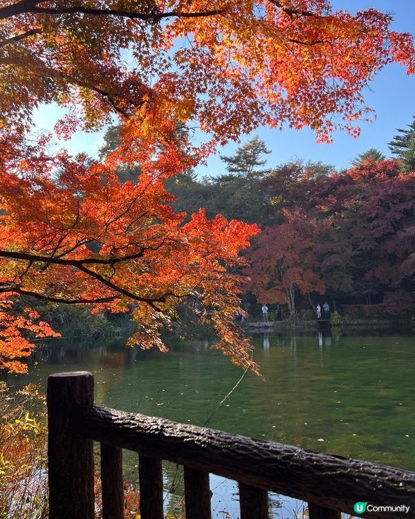 輕井澤賞楓之旅
