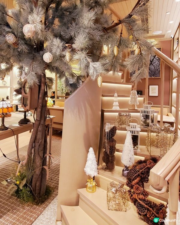 人氣日式Café 喫茶ちょうぼ🍁Choubo Kissa